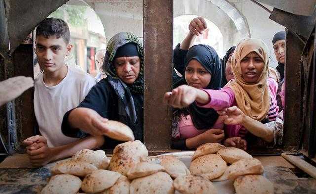 وزارة التموين: توضح حقيقة وجود الفطر الأسود في رغيف العيش